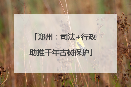 郑州：司法+行政助推千年古树保护