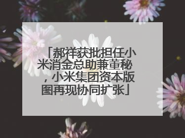 郝祥获批担任小米消金总助兼董秘，小米集团资本版图再现协同扩张