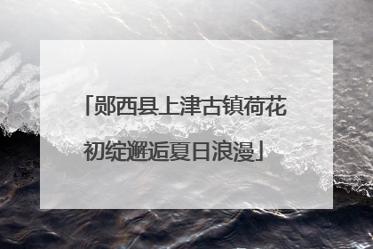 郧西县上津古镇荷花初绽邂逅夏日浪漫