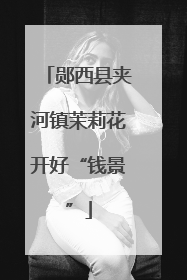 郧西县夹河镇茉莉花开好“钱景”