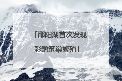 鄱阳湖首次发现彩鹮筑巢繁殖