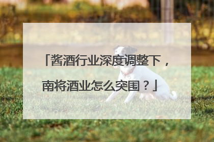 酱酒行业深度调整下，南将酒业怎么突围？