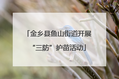 金乡县鱼山街道开展“三防”护苗活动