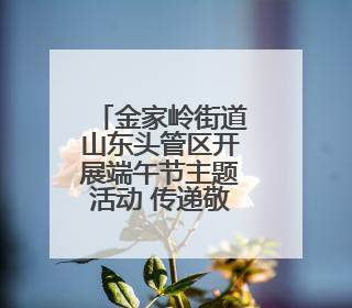 金家岭街道山东头管区开展端午节主题活动 传递敬老温情