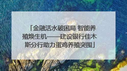 金融活水破困局 智能养殖焕生机——建设银行佳木斯分行助力蛋鸡养殖突围