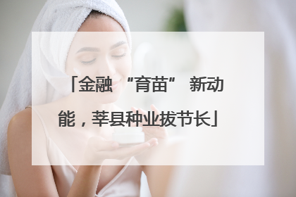 金融 “育苗” 新动能，莘县种业拔节长