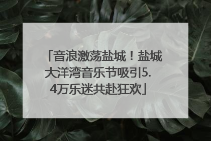 音浪激荡盐城！盐城大洋湾音乐节吸引5.4万乐迷共赴狂欢