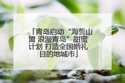 青岛启动“海誓山盟 浪漫青岛”甜蜜计划 打造全国婚礼目的地城市
