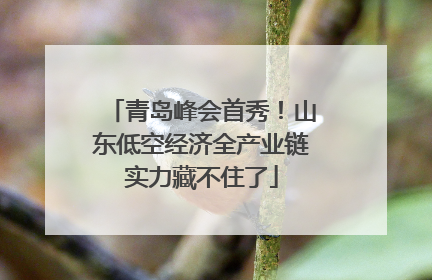 青岛峰会首秀！山东低空经济全产业链实力藏不住了