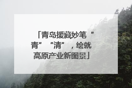 青岛援藏妙笔“青”“清”，绘就高原产业新图景