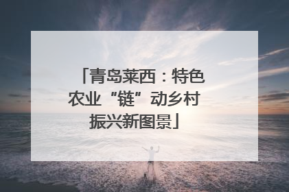 青岛莱西：特色农业“链”动乡村振兴新图景
