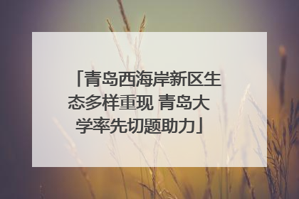 青岛西海岸新区生态多样重现 青岛大学率先切题助力
