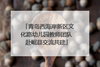 青岛西海岸新区文化路幼儿园教师团队赴岷县交流共建
