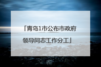 青岛1市公布市政府领导同志工作分工