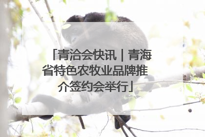青洽会快讯｜青海省特色农牧业品牌推介签约会举行