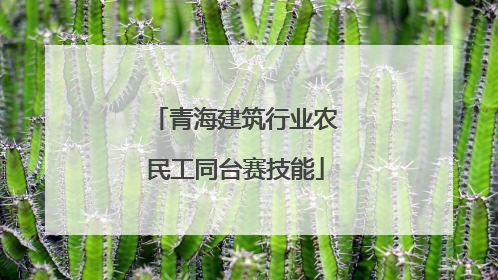青海建筑行业农民工同台赛技能