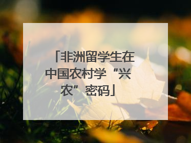 非洲留学生在中国农村学“兴农”密码