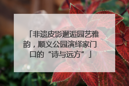 非遗皮影邂逅园艺雅韵，顺义公园演绎家门口的“诗与远方”