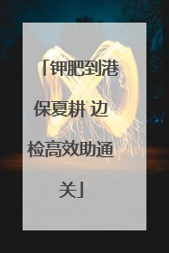 钾肥到港保夏耕 边检高效助通关