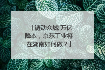 链动众城 万亿降本，京东工业将在湖南如何做？