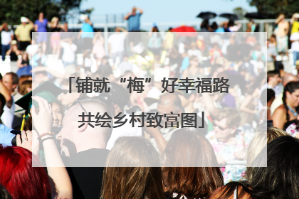 铺就“梅”好幸福路 共绘乡村致富图