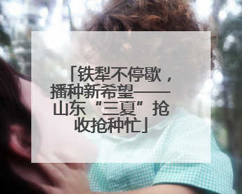 铁犁不停歇，播种新希望——山东“三夏”抢收抢种忙