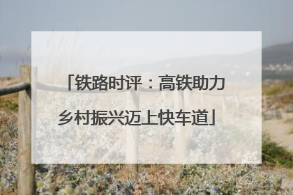 铁路时评：高铁助力乡村振兴迈上快车道