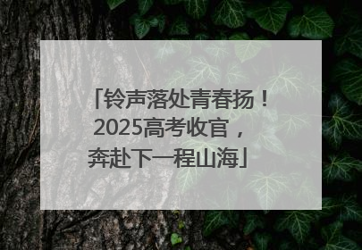 铃声落处青春扬！2025高考收官，奔赴下一程山海
