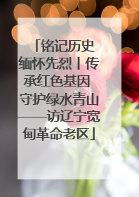铭记历史 缅怀先烈丨传承红色基因 守护绿水青山——访辽宁宽甸革命老区