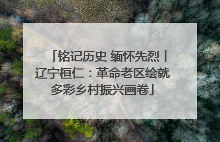 铭记历史 缅怀先烈丨辽宁桓仁：革命老区绘就多彩乡村振兴画卷