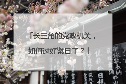 长三角的党政机关，如何过好紧日子？