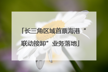 长三角区域首票海港“联动接卸”业务落地