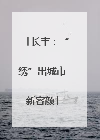 长丰：“绣”出城市新容颜