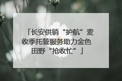 长安供销“护航”麦收季托管服务助力金色田野“抢收忙”