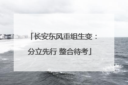 长安东风重组生变：分立先行 整合待考