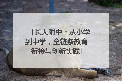 长大附中：从小学到中学，全链条教育衔接与创新实践