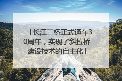 长江二桥正式通车30周年，实现了斜拉桥建设技术的自主化