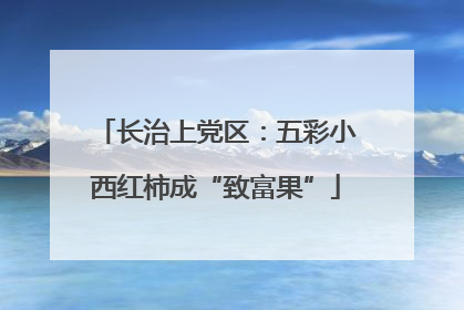 长治上党区：五彩小西红柿成“致富果”