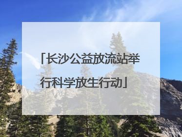 长沙公益放流站举行科学放生行动
