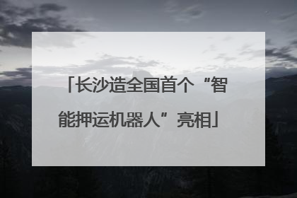 长沙造全国首个“智能押运机器人”亮相