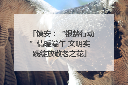 镇安：“银龄行动”情暖端午 文明实践绽放敬老之花