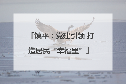 镇平：党建引领 打造居民“幸福里”