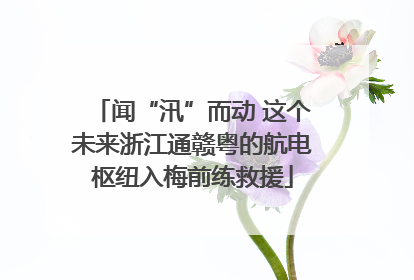 闻“汛”而动 这个未来浙江通赣粤的航电枢纽入梅前练救援