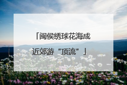 闽侯绣球花海成近郊游“顶流”