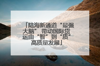 陆海新通道“最强大脑” 带动国际货运由“智”到“质”高质量发展