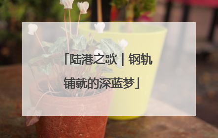 陆港之歌｜钢轨铺就的深蓝梦