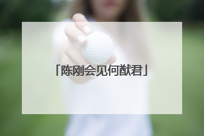 陈刚会见何猷君