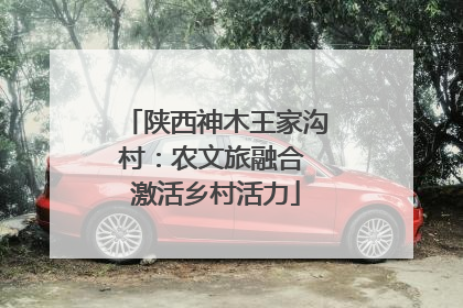 陕西神木王家沟村：农文旅融合 激活乡村活力