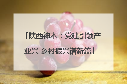 陕西神木：党建引领产业兴 乡村振兴谱新篇