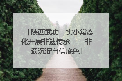 陕西武功二实小常态化开展非遗传承——非遗沉淀自信底色